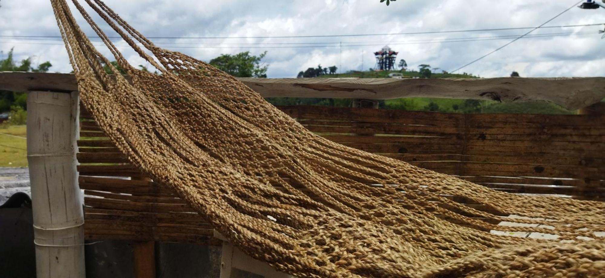 Terracota Mirador Filandia Ξενοδοχείο Εξωτερικό φωτογραφία